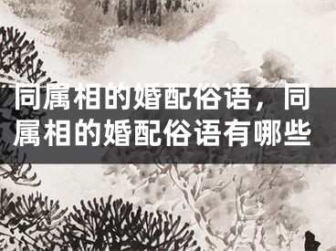 同属相的婚配俗语，同属相的婚配俗语有哪些