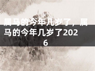 属马的今年几岁了，属马的今年几岁了2026