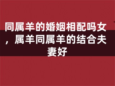 同属羊的婚姻相配吗女,属羊同属羊的结合夫妻好