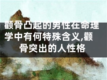 颧骨凸起的男性在命理学中有何特殊含义,颧骨突出的人性格