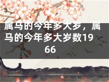 属马的今年多大岁，属马的今年多大岁数1966
