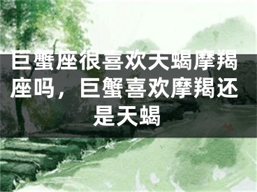 巨蟹座很喜欢天蝎摩羯座吗,巨蟹喜欢摩羯还是天蝎