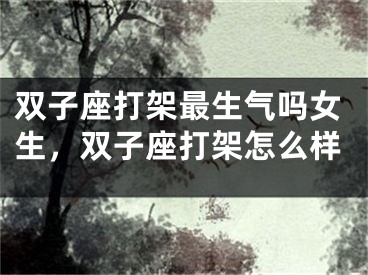双子座打架最生气吗女生，双子座打架怎么样