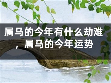 属马的今年有什么劫难,属马的今年运势