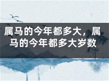 属马的今年都多大，属马的今年都多大岁数