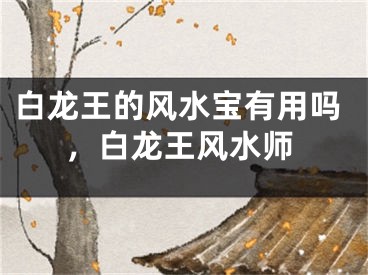 白龙王的风水宝有用吗，白龙王风水师