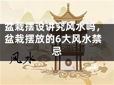 盆栽摆设讲究风水吗,盆栽摆放的6大风水禁忌