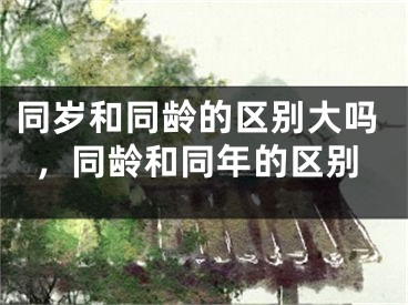 同岁和同龄的区别大吗，同龄和同年的区别
