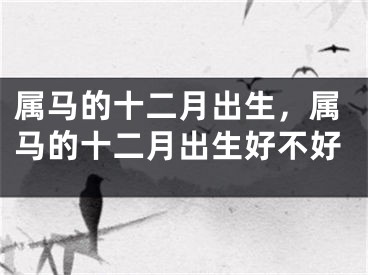 属马的十二月出生，属马的十二月出生好不好