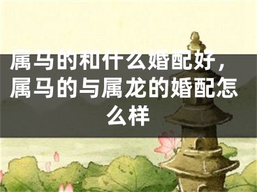 属马的和什么婚配好，属马的与属龙的婚配怎么样