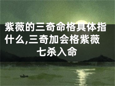 紫薇的三奇命格具体指什么,三奇加会格紫薇七杀入命