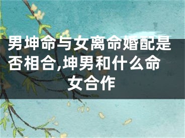 男坤命与女离命婚配是否相合,坤男和什么命女合作