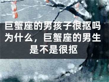巨蟹座的男孩子很抠吗为什么,巨蟹座的男生是不是很抠