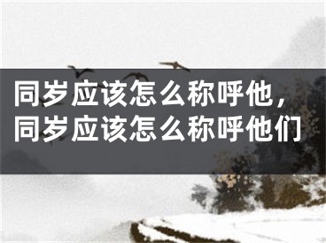 同岁应该怎么称呼他，同岁应该怎么称呼他们