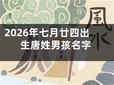 2026年七月廿四出生唐姓男孩名字
