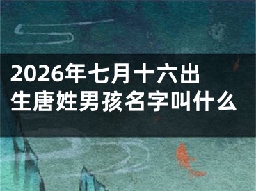 2026年七月十六出生唐姓男孩名字叫什么