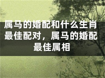 属马的婚配和什么生肖最佳配对，属马的婚配最佳属相