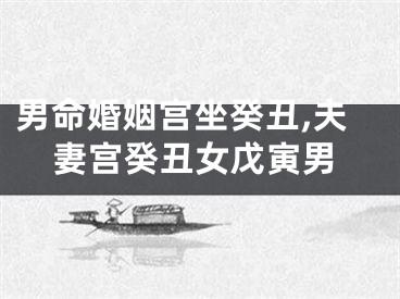 男命婚姻宫坐癸丑,夫妻宫癸丑女戊寅男