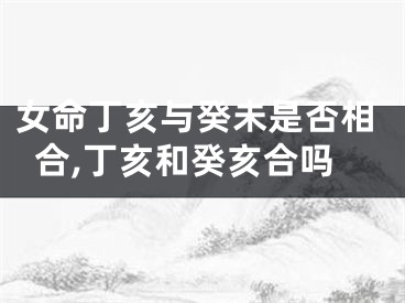 女命丁亥与癸未是否相合,丁亥和癸亥合吗
