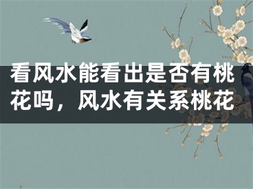 看风水能看出是否有桃花吗,风水有关系桃花