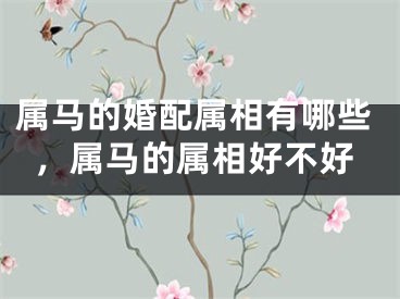 属马的婚配属相有哪些，属马的属相好不好