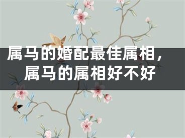 属马的婚配最佳属相，属马的属相好不好