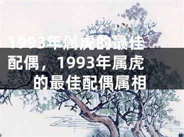 1993年属虎的最佳配偶，1993年属虎的最佳配偶属相
