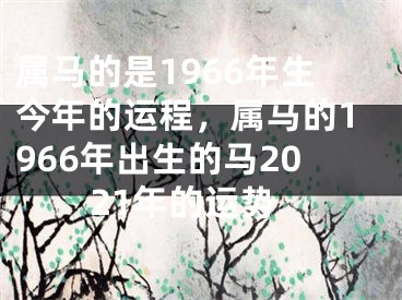 属马的是1966年生今年的运程，属马的1966年出生的马2021年的运势