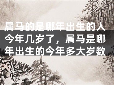 属马的是哪年出生的人今年几岁了，属马是哪年出生的今年多大岁数