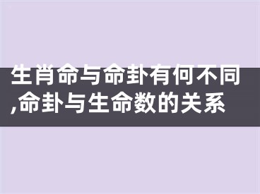 生肖命与命卦有何不同,命卦与生命数的关系