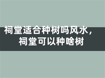 祠堂适合种树吗风水,祠堂可以种啥树