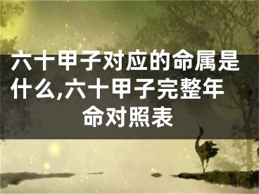 六十甲子对应的命属是什么,六十甲子完整年命对照表