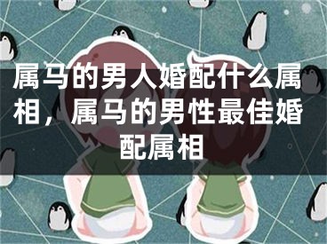 属马的男人婚配什么属相,属马的男性最佳婚配属相