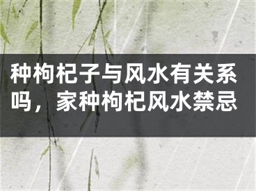 种枸杞子与风水有关系吗,家种枸杞风水禁忌