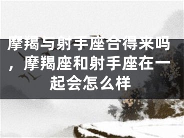 摩羯与射手座合得来吗,摩羯座和射手座在一起会怎么样
