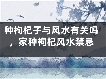 种枸杞子与风水有关吗,家种枸杞风水禁忌