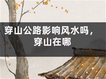 穿山公路影响风水吗，穿山在哪