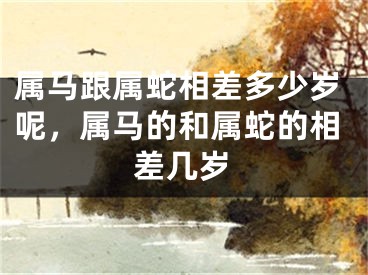 属马跟属蛇相差多少岁呢，属马的和属蛇的相差几岁
