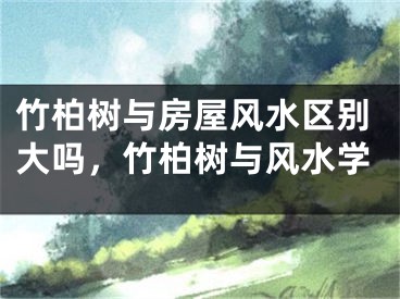 竹柏树与房屋风水区别大吗,竹柏树与风水学