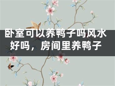 卧室可以养鸭子吗风水好吗，房间里养鸭子