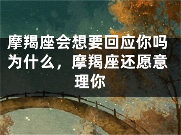摩羯座会想要回应你吗为什么,摩羯座还愿意理你