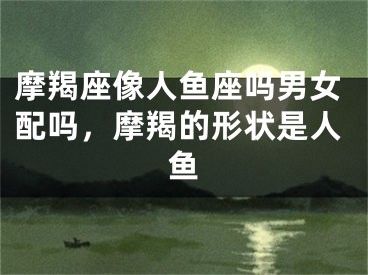 摩羯座像人鱼座吗男女配吗,摩羯的形状是人鱼