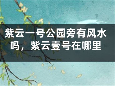 紫云一号公园旁有风水吗，紫云壹号在哪里