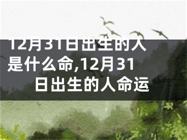 12月31日出生的人是什么命,12月31日出生的人命运