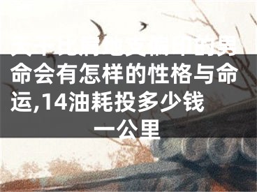 天干比肩地支偏印的男命会有怎样的性格与命运,14油耗投多少钱一公里