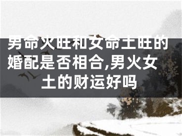 男命火旺和女命土旺的婚配是否相合,男火女土的财运好吗