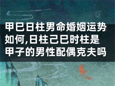 甲巳日柱男命婚姻运势如何,日柱己巳时柱是甲子的男性配偶克夫吗