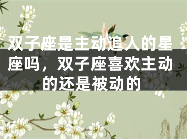 双子座是主动追人的星座吗，双子座喜欢主动的还是被动的