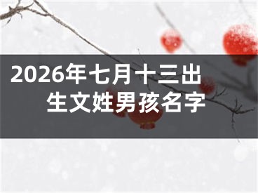 2026年七月十三出生文姓男孩名字