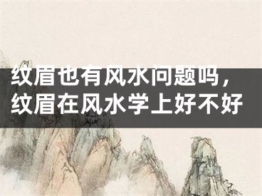 纹眉也有风水问题吗，纹眉在风水学上好不好